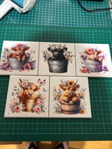 Angelita review photo