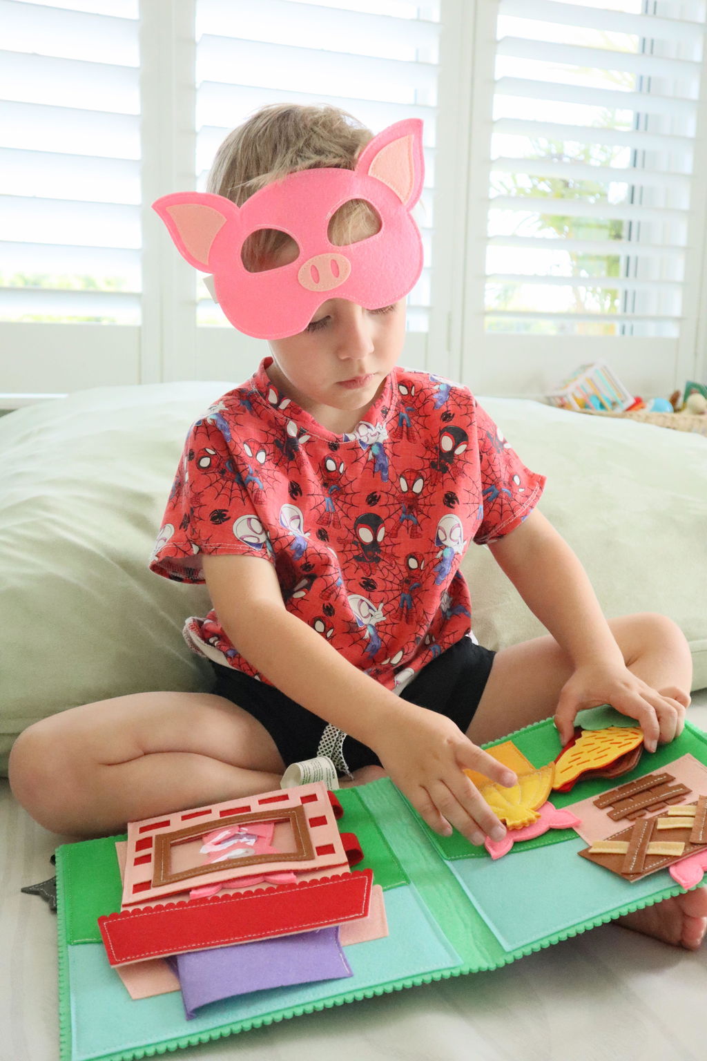 Three Little Pigs Set