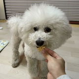 なな review photo
