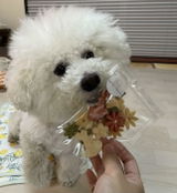 なな review photo