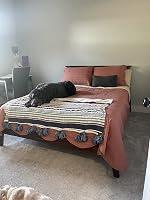 Anon review photo