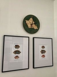Customer photo from Courtney B.'s review of Oahu Clock, 12" Diameter
