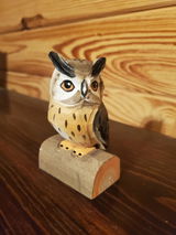 Teri Harrison review photo