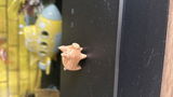 Ami review photo
