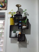 Isha Rajput review photo