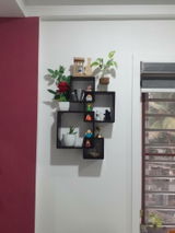 Isha Rajput review photo