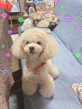 美和 近藤 review photo