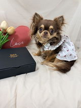 吉田優子 吉田 review photo