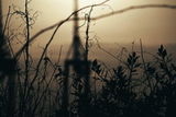Dominik L. review photo