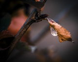 Kevcroft_photography review photo