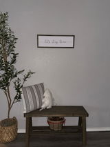 Violet review photo