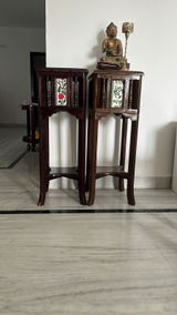 Sunita Raman review photo