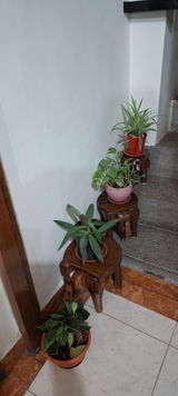 Bharathi Ramesh review photo