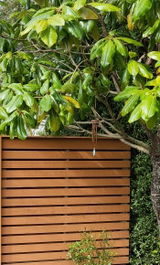 Jade Eaves review photo