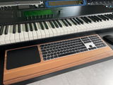 Nelson review photo
