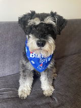 Bandanas