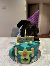 5" Pawberry Cake