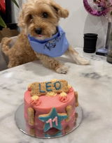5" Pawberry Cake