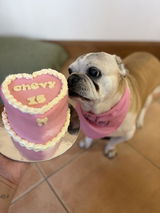 Heart Shaped Cake
