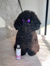 Lisaxxroberts review photo