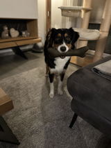 Lani review photo