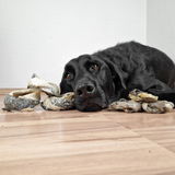 Ines review photo