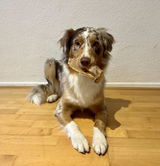 Jacky m.A. review photo