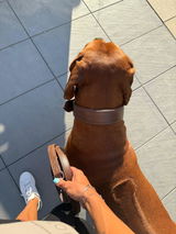 Jessy review photo