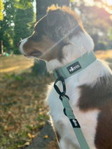 Lani review photo