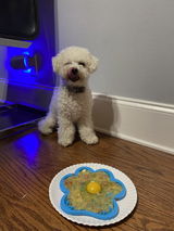 Daisey Heck review photo