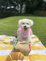 Daisey Heck review photo