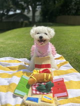 Daisey Heck review photo