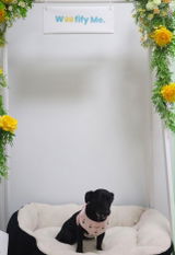 Jaeden review photo