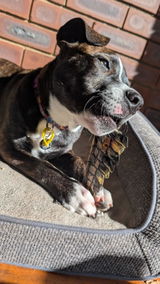 Sabrina with Bindi review photo