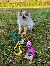 Aoife review photo