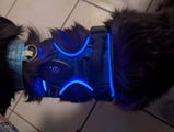Sara Fndz review photo
