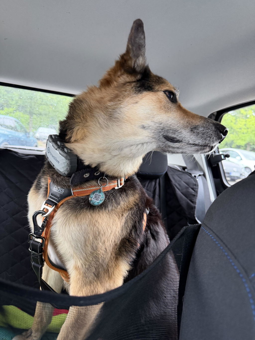 Wooftag