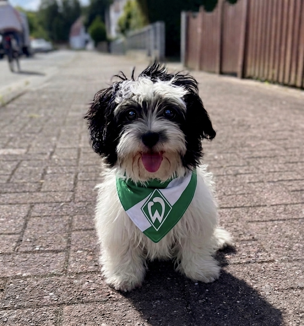 Wooftag