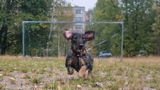 Nea Pesonen review photo