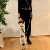 Giula review photo