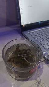 Tabassum review photo