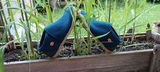 Margit S. review photo