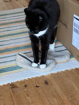 Gitta H. review photo