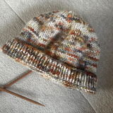 Shades of Autumn | Hand Dyed 100% Merino Yarn from New Zealand | 100g