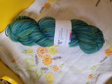 Mermaid's Garden | Hand Dyed 100% Merino Yarn from New Zealand | 100g
