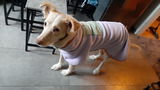 Sandra S. review photo