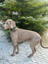 Barbora H. review photo