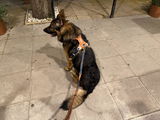 Spyros K. review photo
