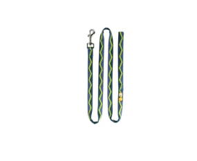 Horizon Dog Leash