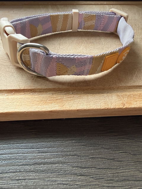 Sunshower Dog Collar
